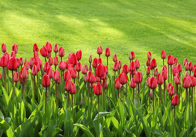 Projects projects 08.jpg