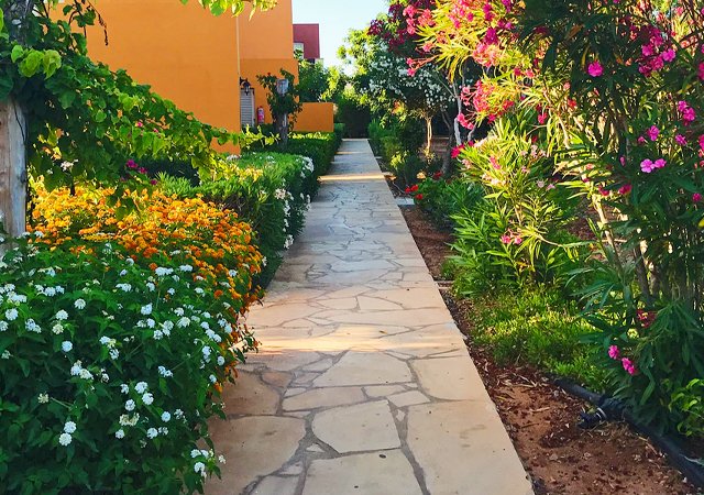 Projects back garden